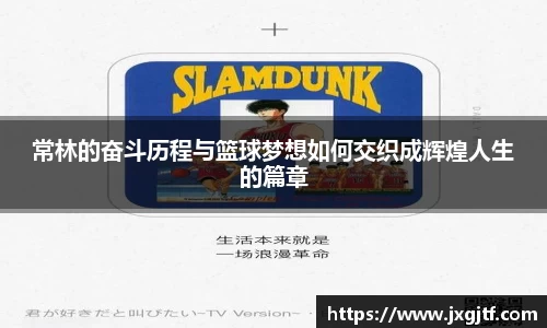 NG娱乐平台