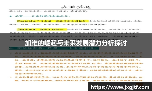 加维的崛起与未来发展潜力分析探讨